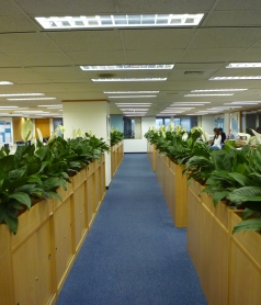 公司案例